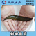 广东优质剌鳅鱼苗芝麻钜鱼苗刀鳅鱼苗石锥鱼苗钢鳅鱼苗