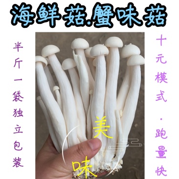 海鲜菇蟹味菇十元模式低价批发量大从优