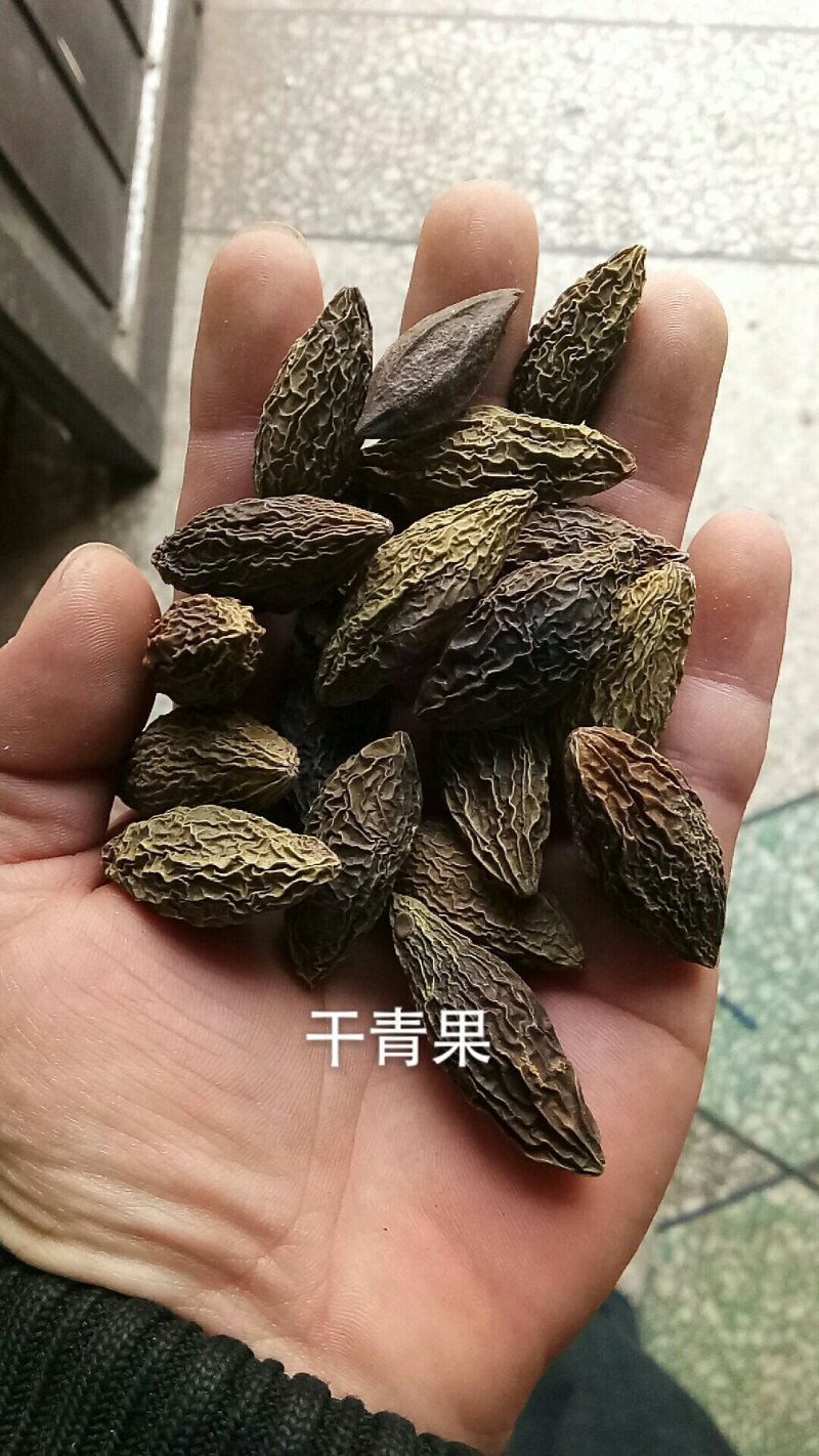 橄榄果西青果甘青果橄榄青果西青果干青果中药材