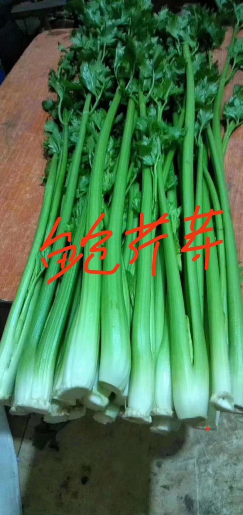 鲍芹章丘鲍芹产地直供正宗有机鲍芹
