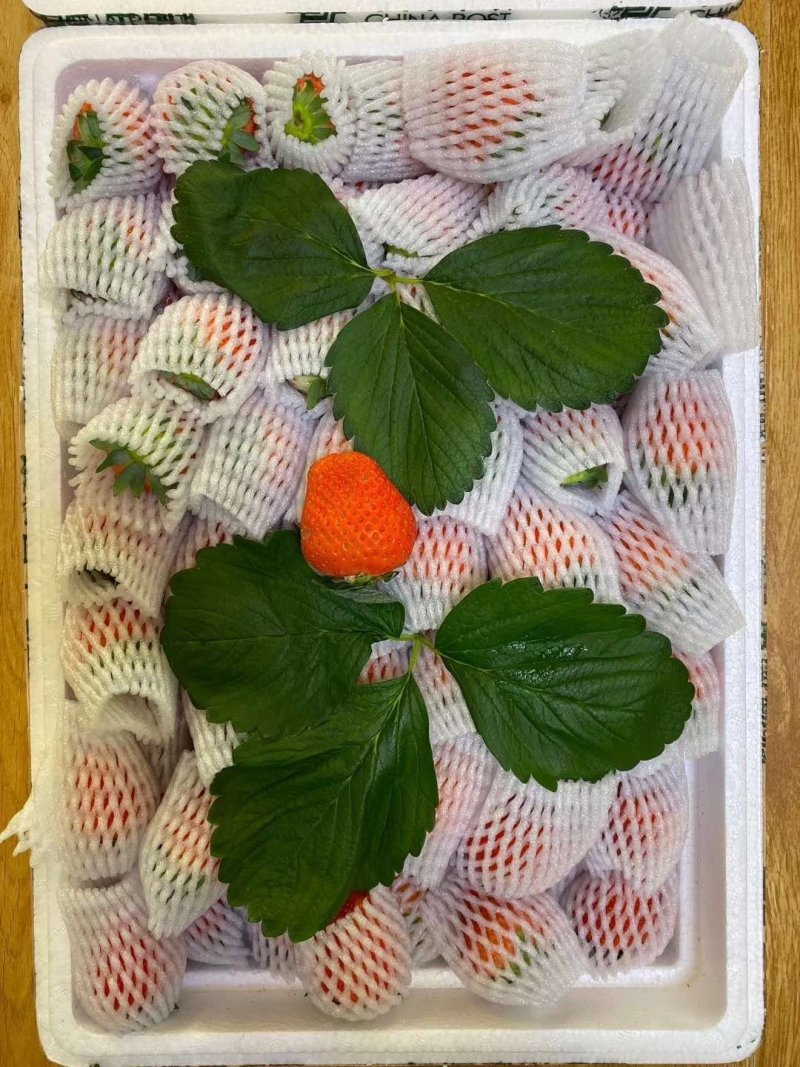 意大利草莓