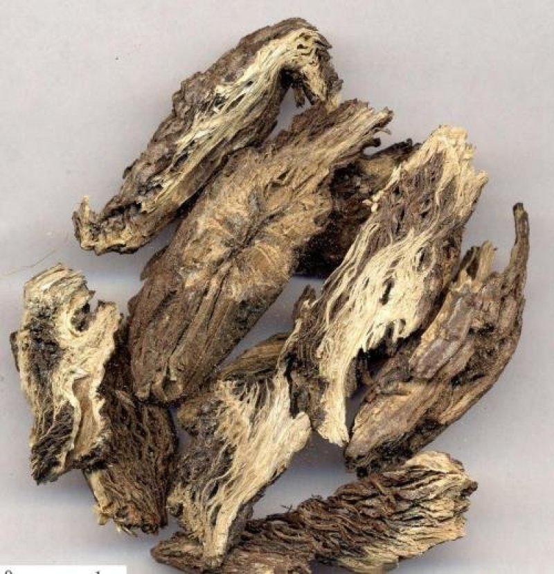 漏芦，常年批发供应各种规格漏芦中药材