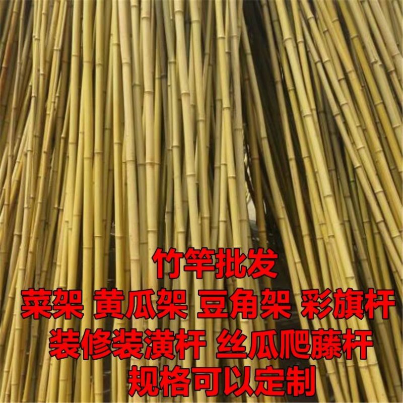 竹竿菜园搭架篱笆栅栏粗细跳舞竹竿装饰粗楠竹子防腐彩旗竹竿