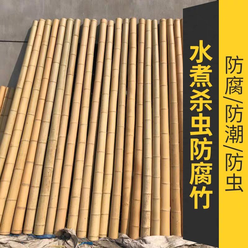 竹竿菜园搭架篱笆栅栏粗细跳舞竹竿装饰粗楠竹子防腐彩旗竹竿