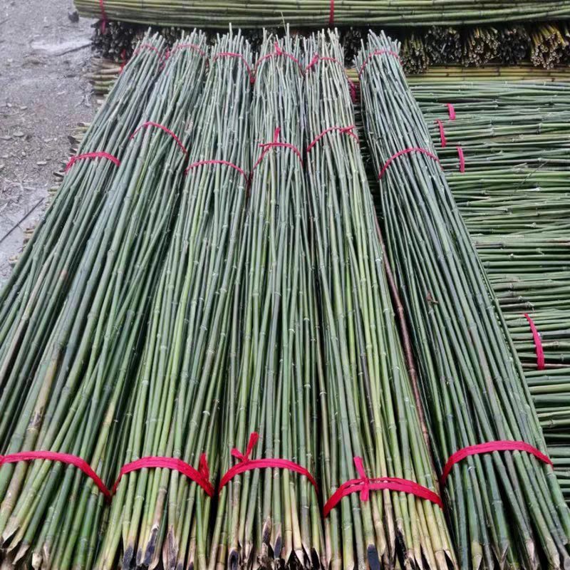 竹竿菜园搭架篱笆栅栏粗细跳舞竹竿装饰粗楠竹子防腐彩旗竹竿