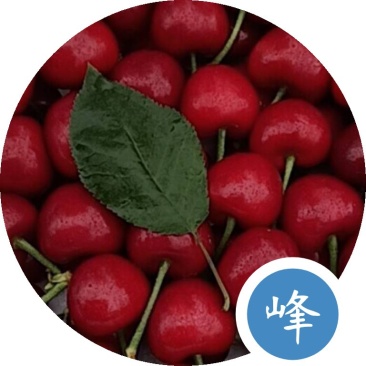 红灯大量，口感质量嘎嘎