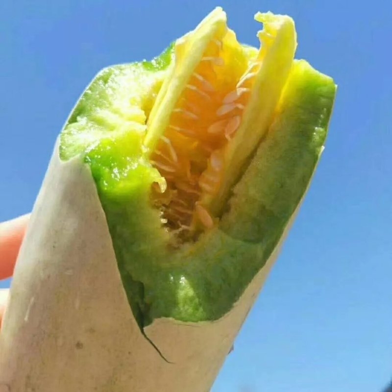 暖棚头茬博洋6一件代发大量有货日接万单