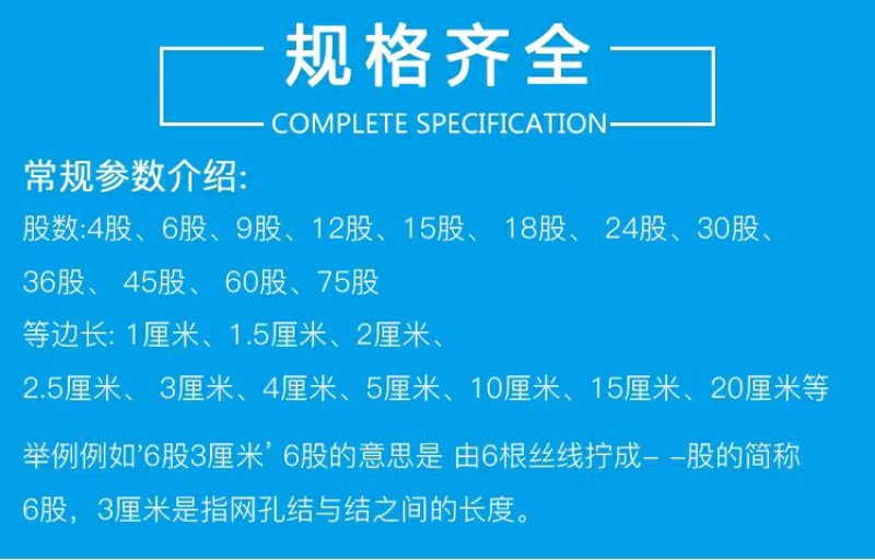 全新家禽养殖网养鸡顶网养鸡天网拦鸡网山鸡网防护网