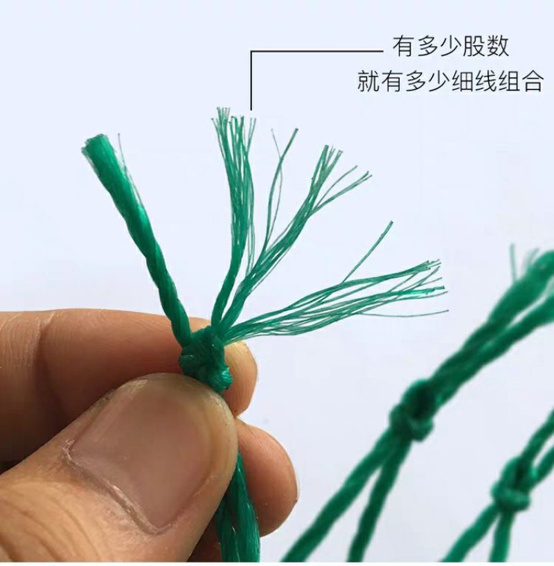 全新家禽养殖网养鸡顶网养鸡天网拦鸡网山鸡网防护网
