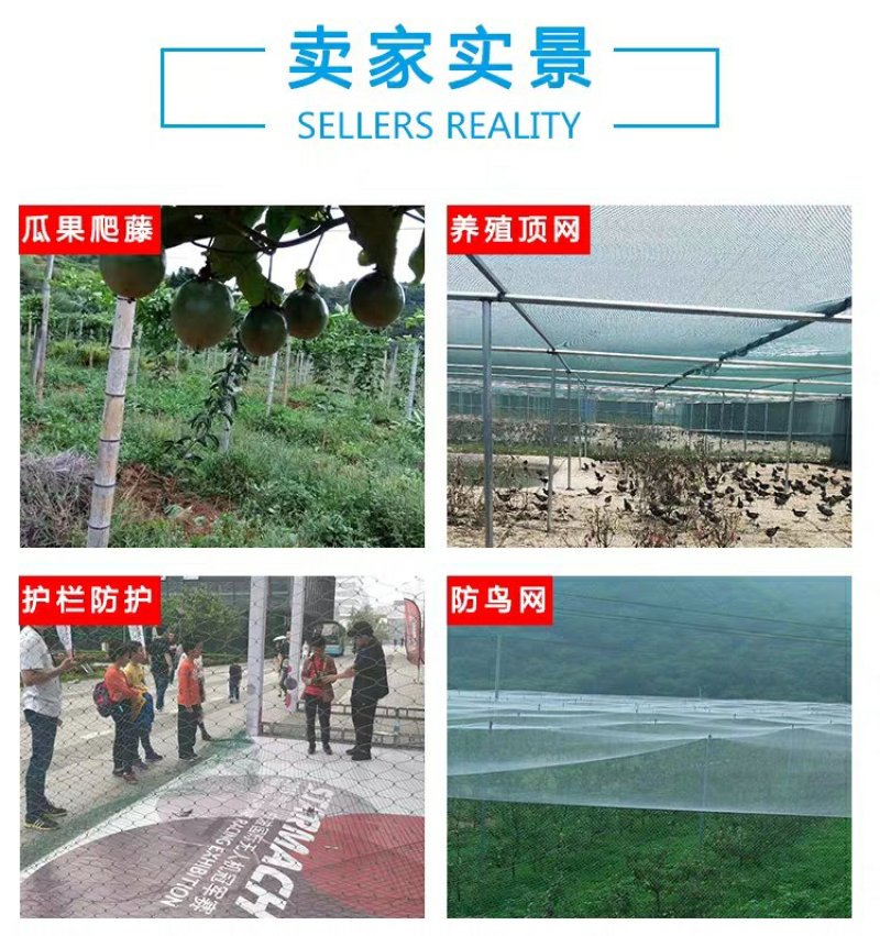 全新家禽养殖网养鸡顶网养鸡天网拦鸡网山鸡网防护网
