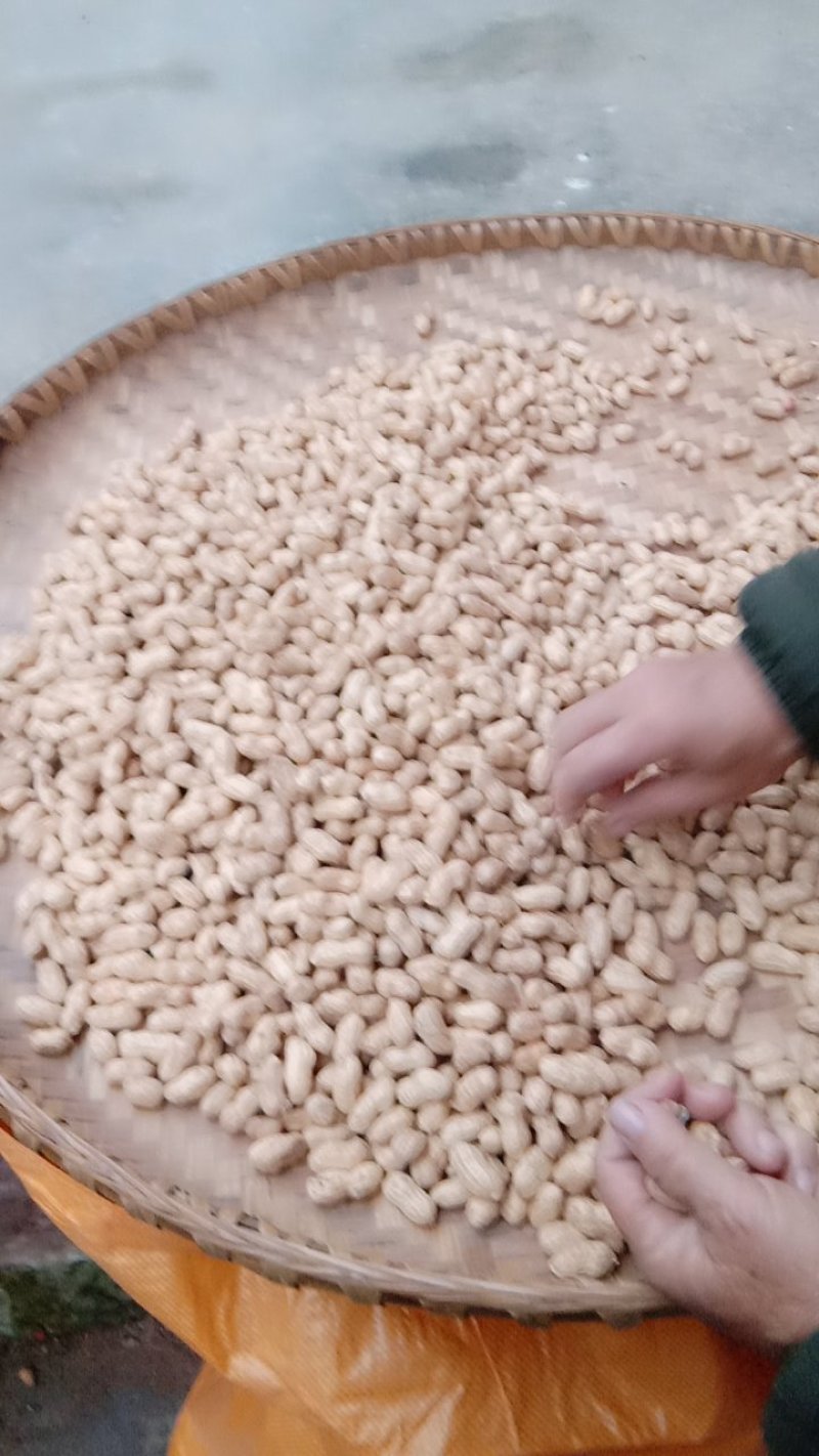花生干货带壳