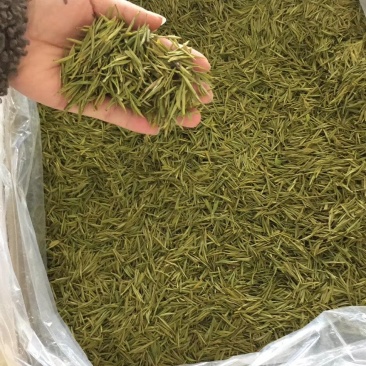白茶黄茶