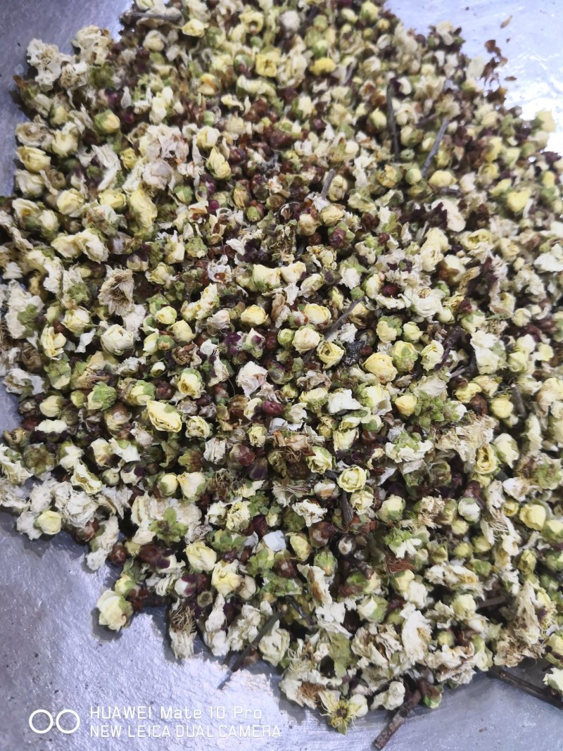 梅花绿萼梅选货泡水喝1斤起包邮量大从优
