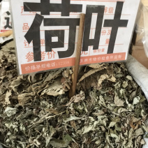 荷叶，无硫磺足够干，一斤起批