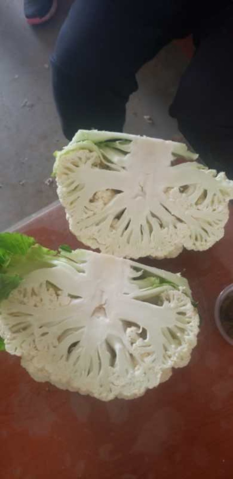 精品有机花大棚有机花量大新鲜采摘保质保量