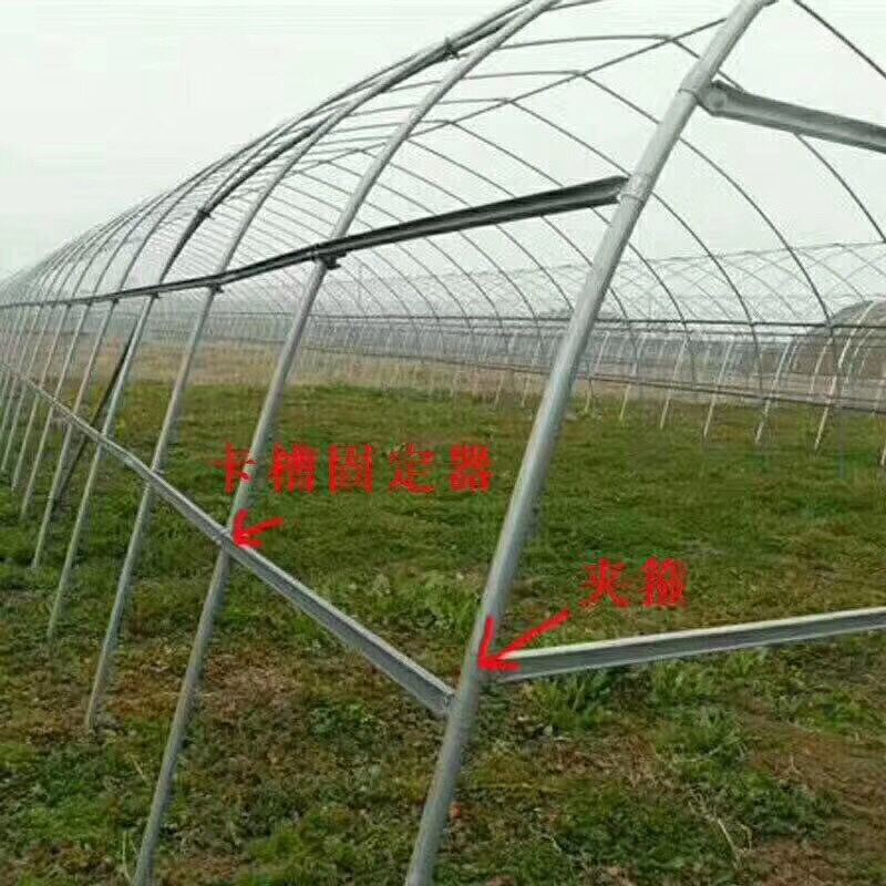 种植大棚简易插地棚镀锌管骨架大棚蔬菜大棚