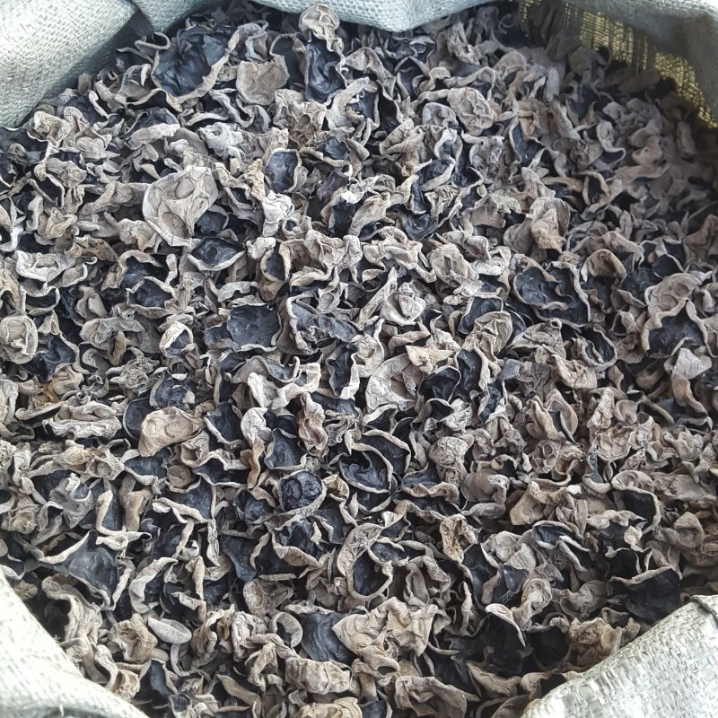 木耳大兴安岭黑木耳东北木耳东北特产大量批发