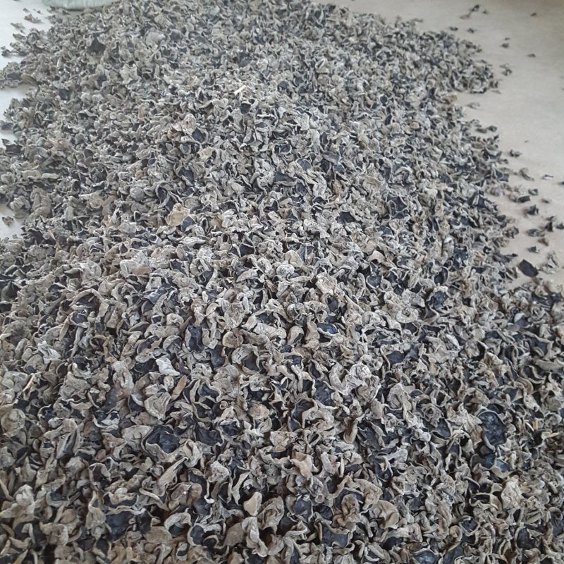 木耳大兴安岭黑木耳东北木耳东北特产大量批发