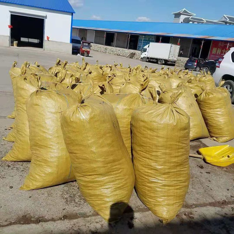 野生榛蘑大兴安岭榛蘑东北特产蘑菇榛蘑产地直发大量批发