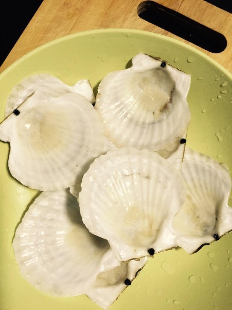 扇贝壳+各种规格+处理干净的规整+无破损