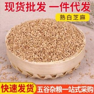 白芝麻，熟白芝麻，磨粉原料，榨油原料