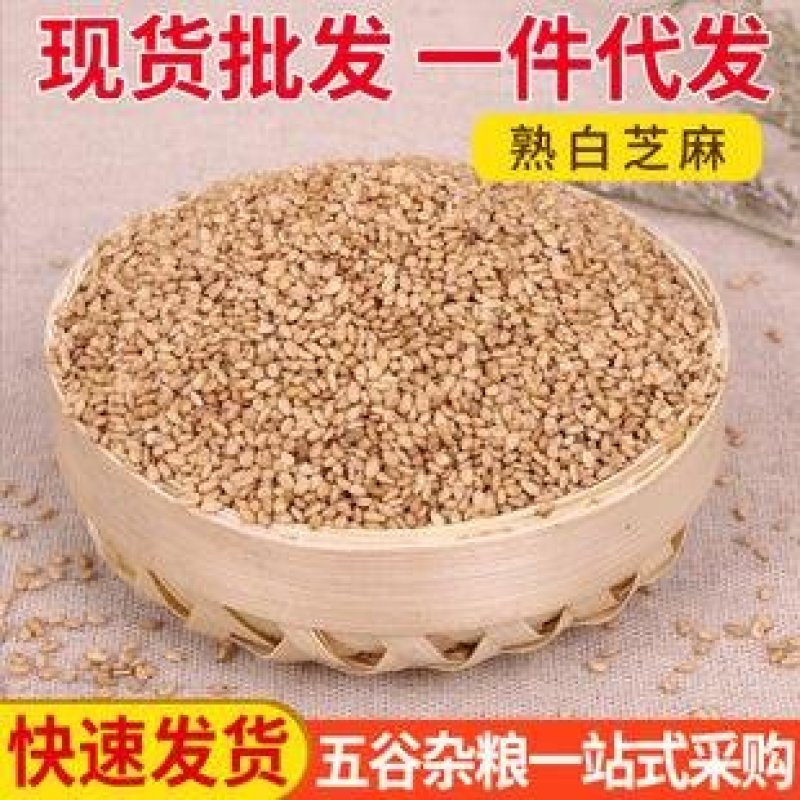 白芝麻，熟白芝麻，磨粉原料，榨油原料