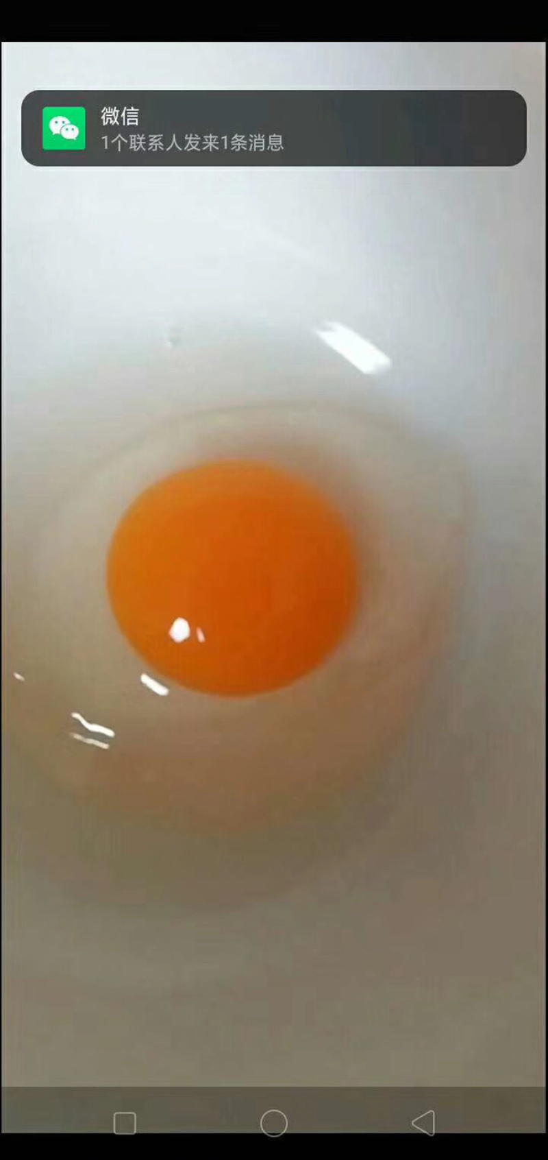 桶装大鹅蛋，白洋淀产地直供，质量保证！团购地摊精品