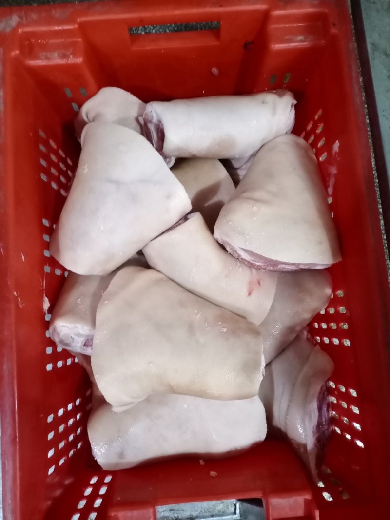 肘子，国产冻品，质量可靠价格合适