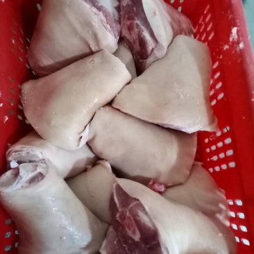 肘子，国产冻品，质量可靠价格合适