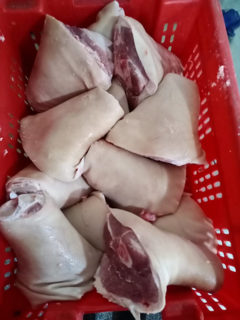 肘子，国产冻品，质量可靠价格合适