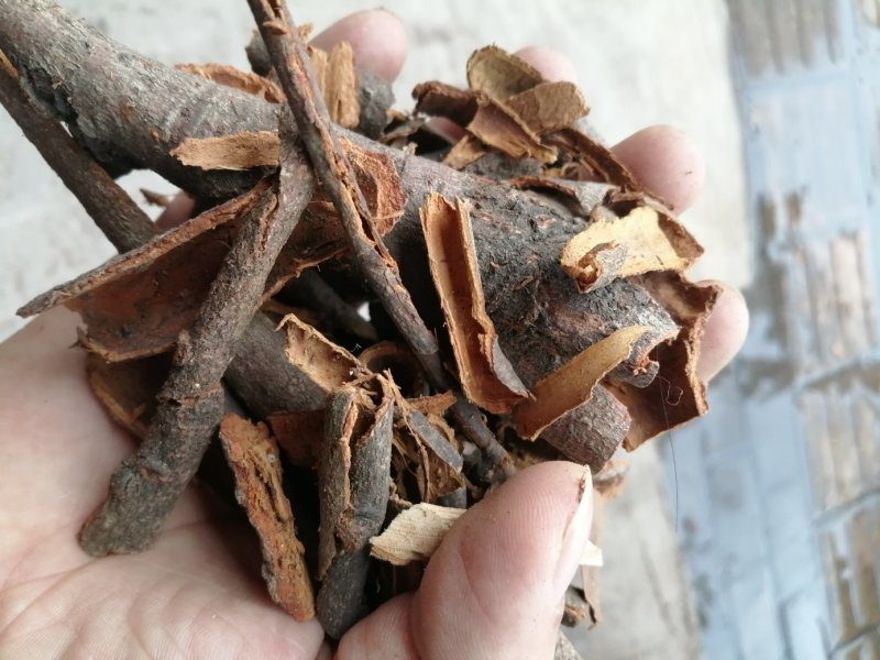 肉桂碎皮，广西肉桂，货干颜色靓，产地直销