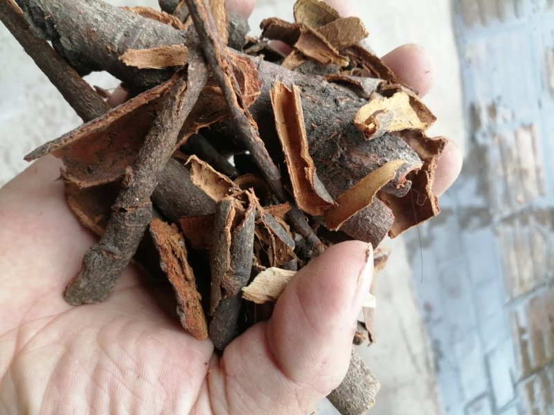 肉桂碎皮，广西肉桂，货干颜色靓，产地直销