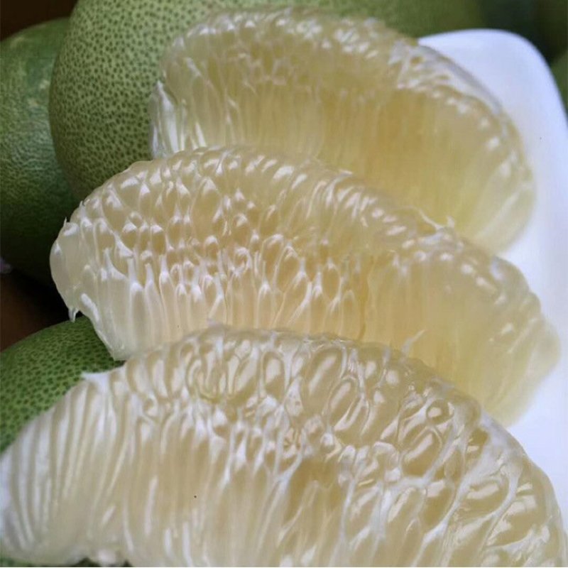 泰国进口青柚蜜柚2-4-8个原箱当季水果热带包邮