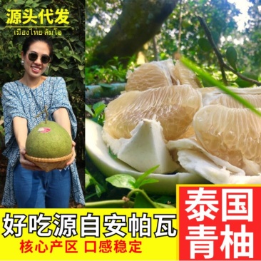 泰国进口青柚蜜柚2-4-8个原箱当季水果热带包邮