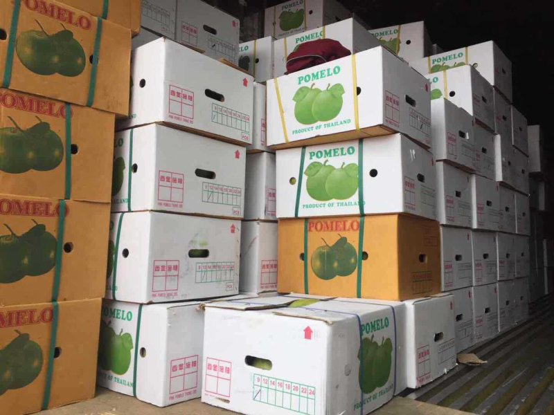 泰国进口青柚蜜柚2-4-8个原箱当季水果热带包邮