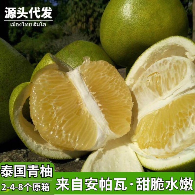泰国进口青柚蜜柚2-4-8个原箱当季水果热带包邮