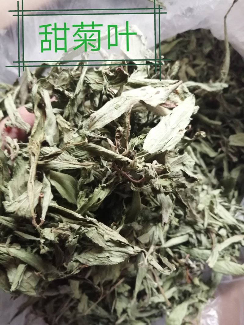 甜叶菊，全叶甜菊叶，小叶、大叶甜叶菊，含糖量高