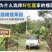好忆莲新鲜水果榴莲泰国金枕无核冷冻榴莲肉3kg包邮
