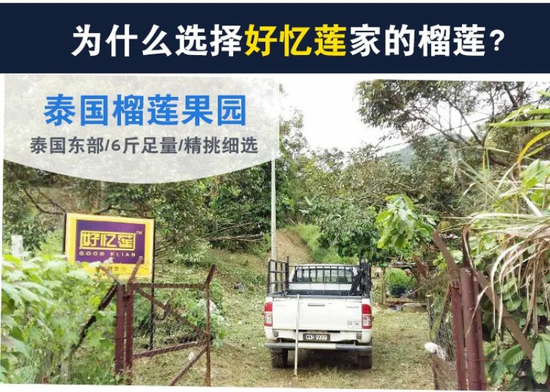 好忆莲新鲜水果榴莲泰国金枕无核冷冻榴莲肉3kg包邮