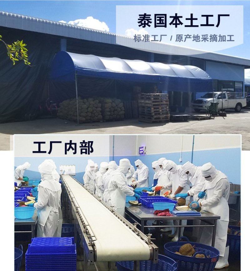 好忆莲新鲜水果榴莲泰国金枕无核冷冻榴莲肉3kg包邮