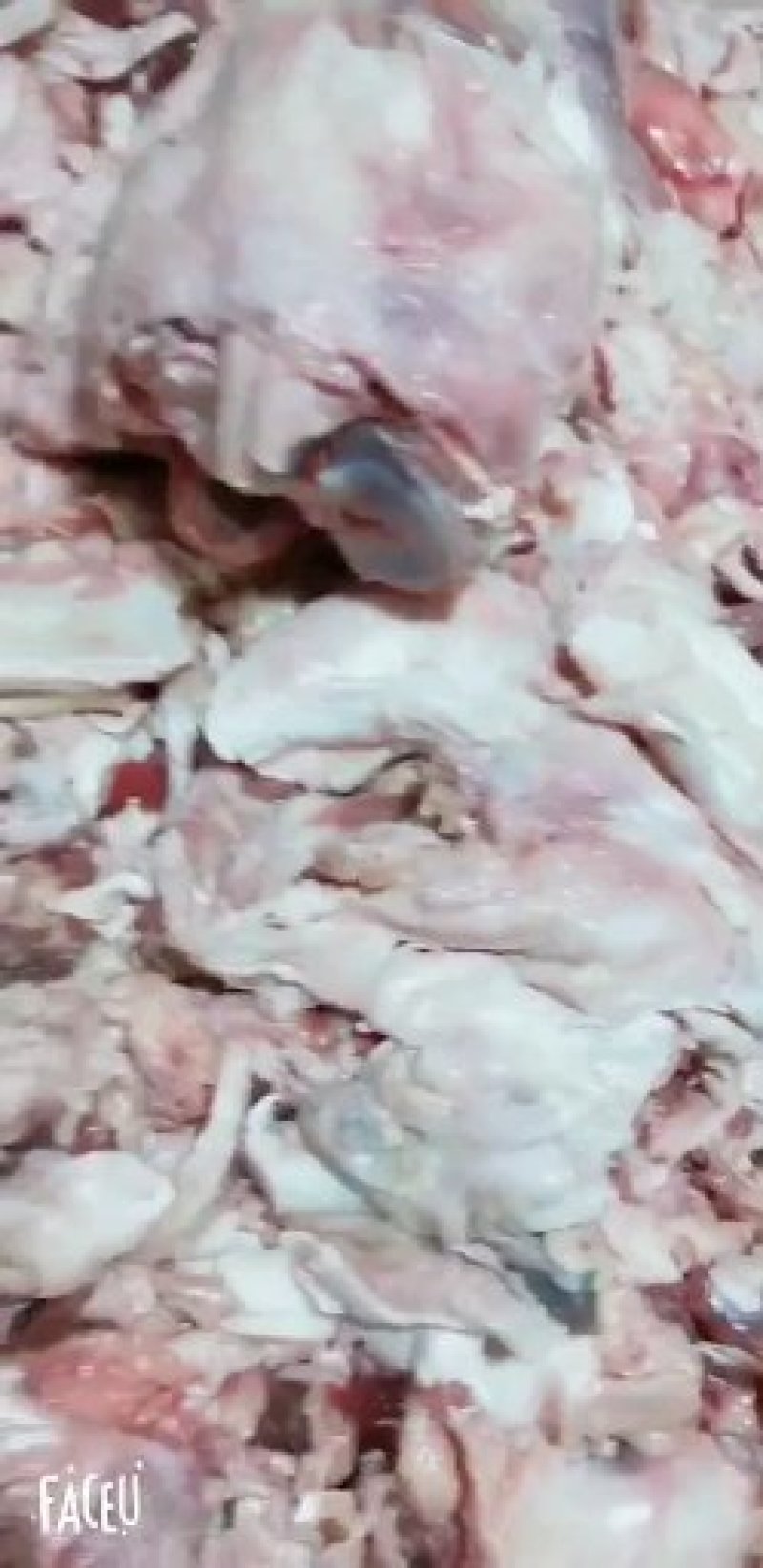 山东滨州好牛筋牛棒骨筋纯干味道好，手续齐全，厂家直销
