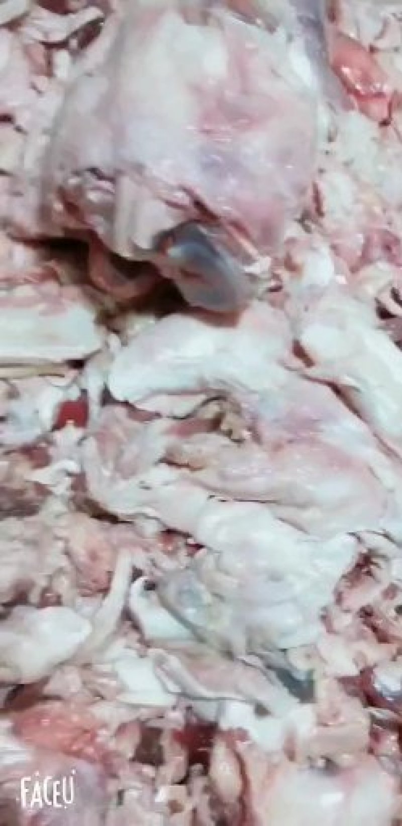 山东滨州好牛筋牛棒骨筋纯干味道好，手续齐全，厂家直销