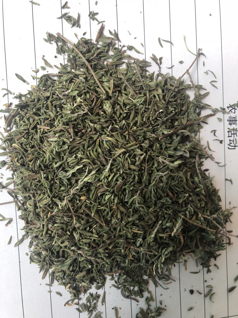 基地供应食品级百里香干品