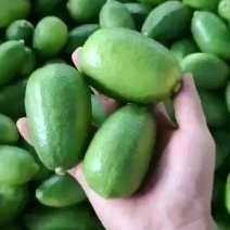 香水柠檬