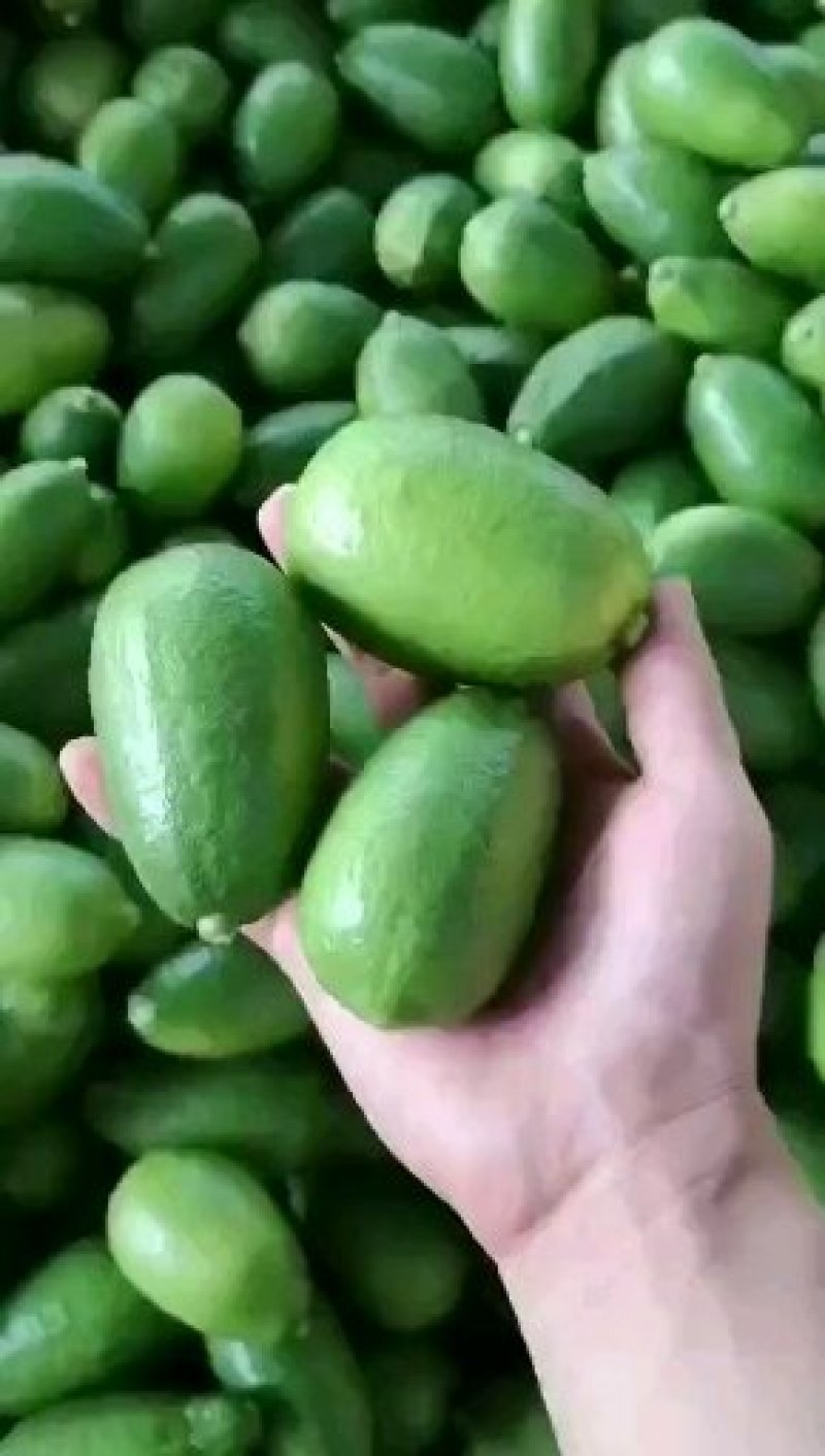 香水柠檬