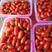 贝贝系列口感小番茄苗成活率高技术指导量大从优