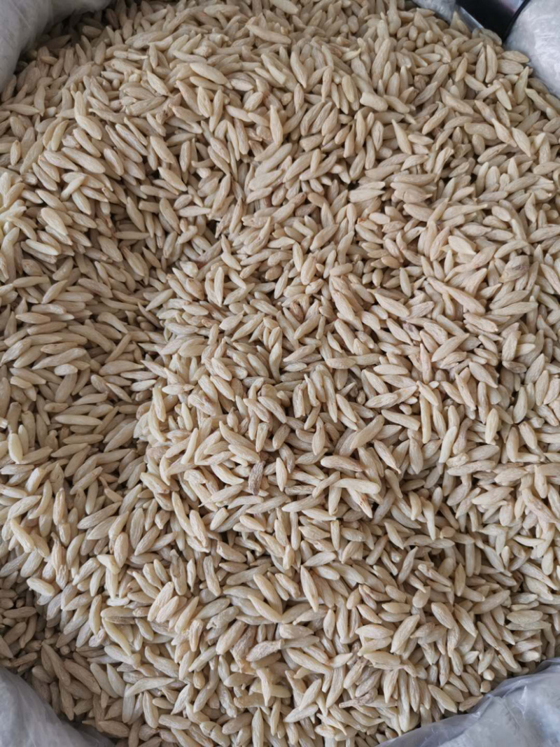 麦冬川麦冬实物拍摄产地直销量大从优批发电商