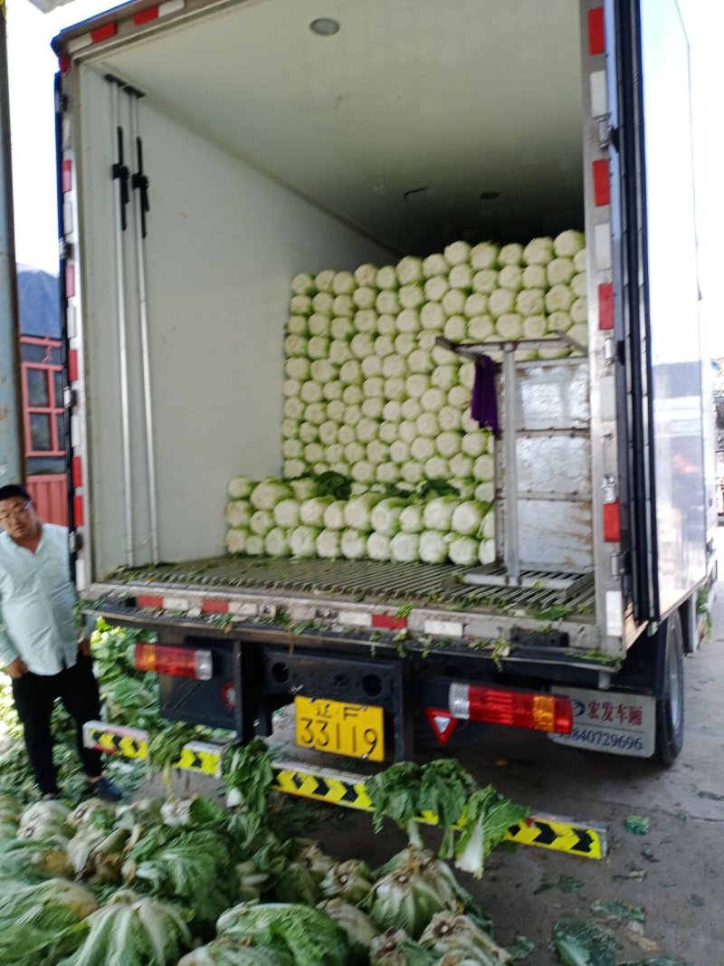 大量上市