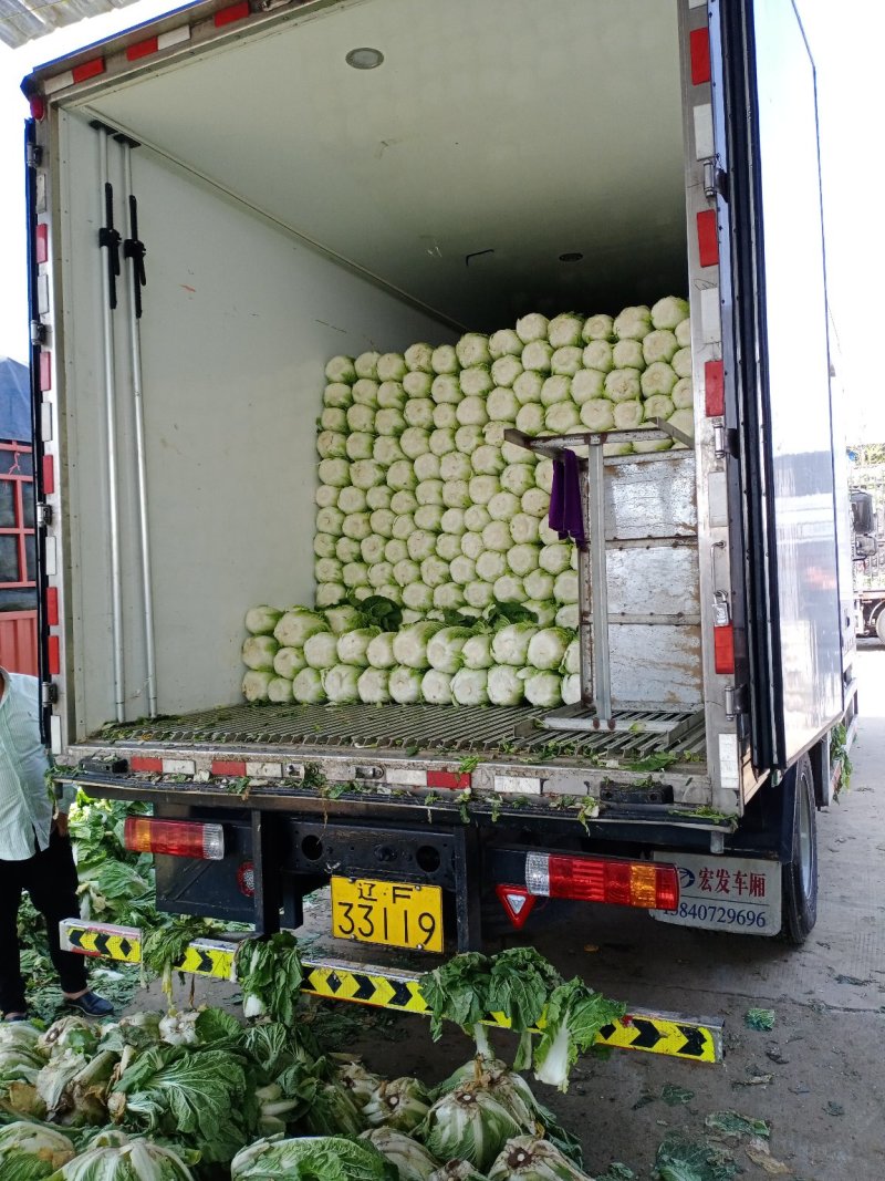 大量上市