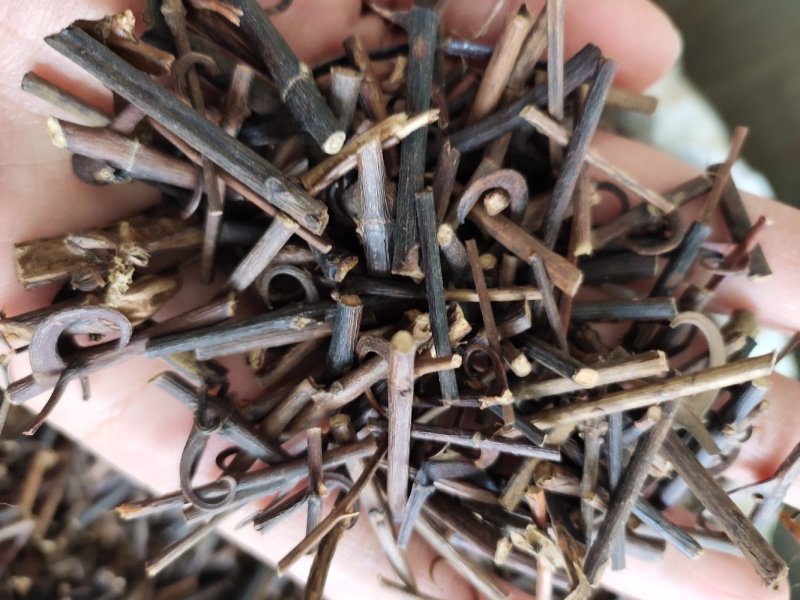 【文斌药业】钩藤少量钩干净无杂质。地道药材